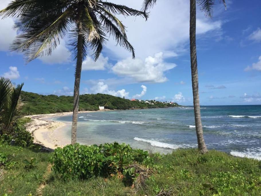 Villa Ti Bleu Caraibes 8 Personnes A St Francois Saint-Francois  Exteriér fotografie